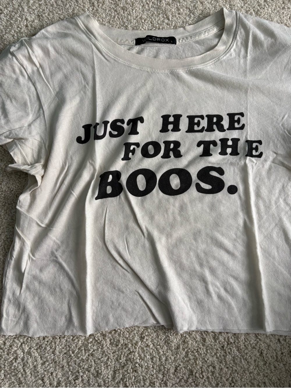 Wildfox graphic t bundle. Just here for the boos & make me a sandwich